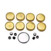 Brass Freeze Plug Set